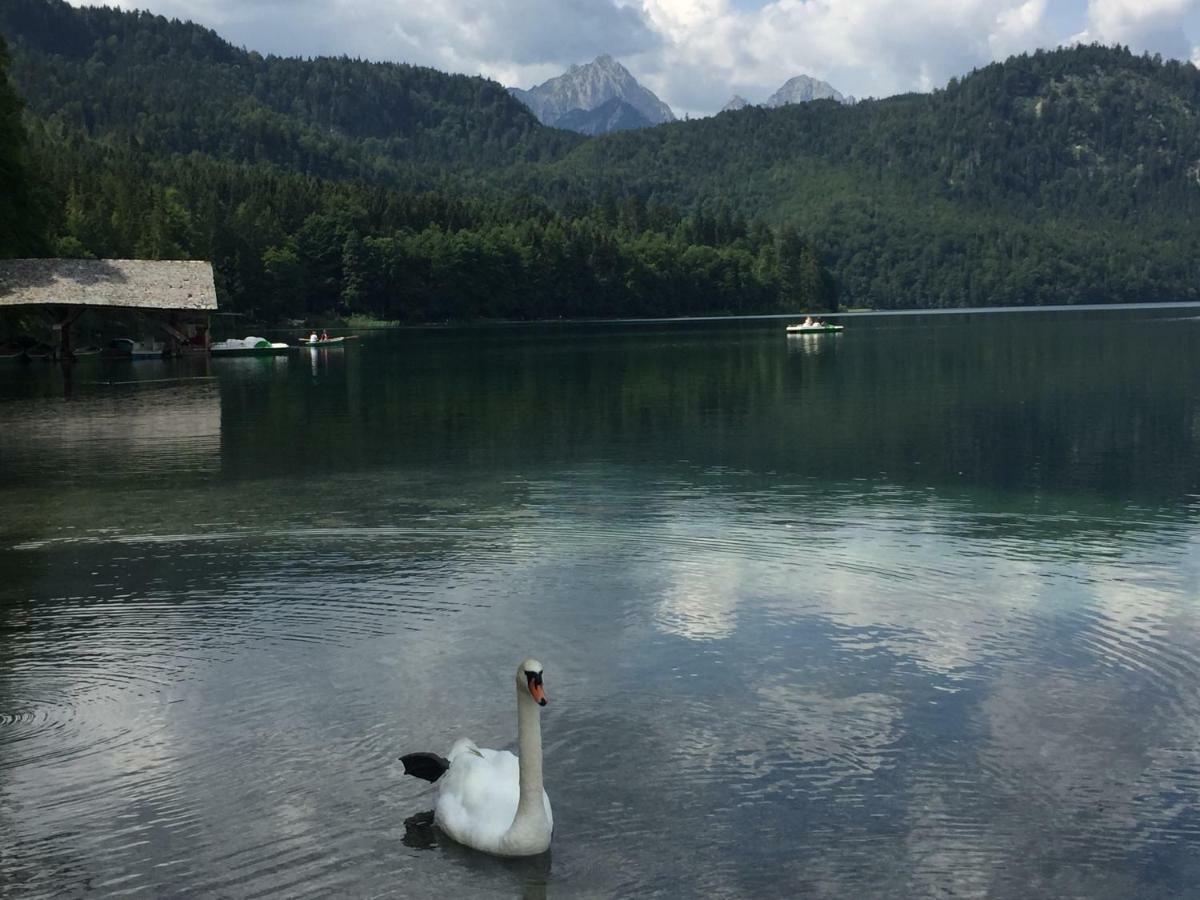Wiestalerhof Bichlbach Kültér fotó